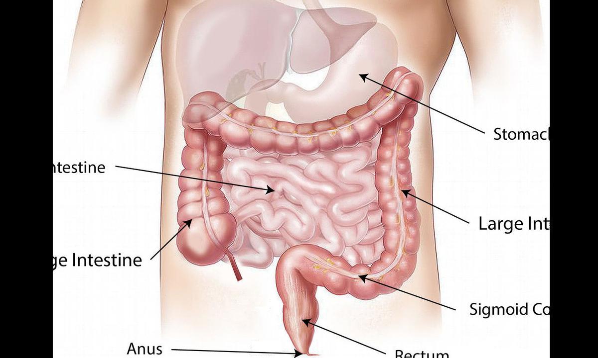 女子吃烧烤一晚腹泻,吃烧烤得急性肠炎