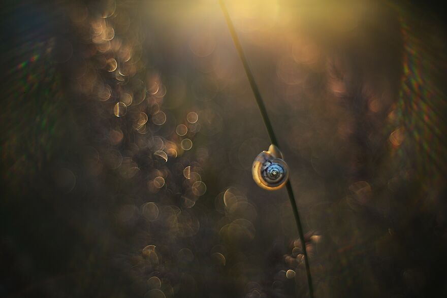 大自然的美景秋天摄影照片,美丽的大自然春夏秋冬图片大全