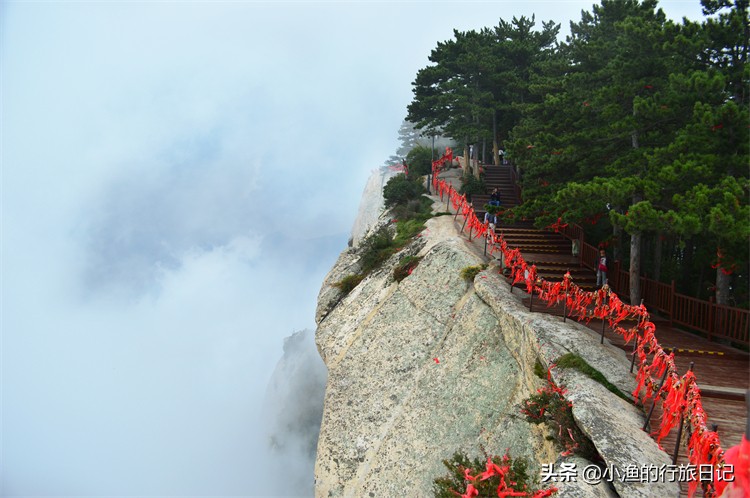 华山免费,华山旅游景点免门票政策解读一下