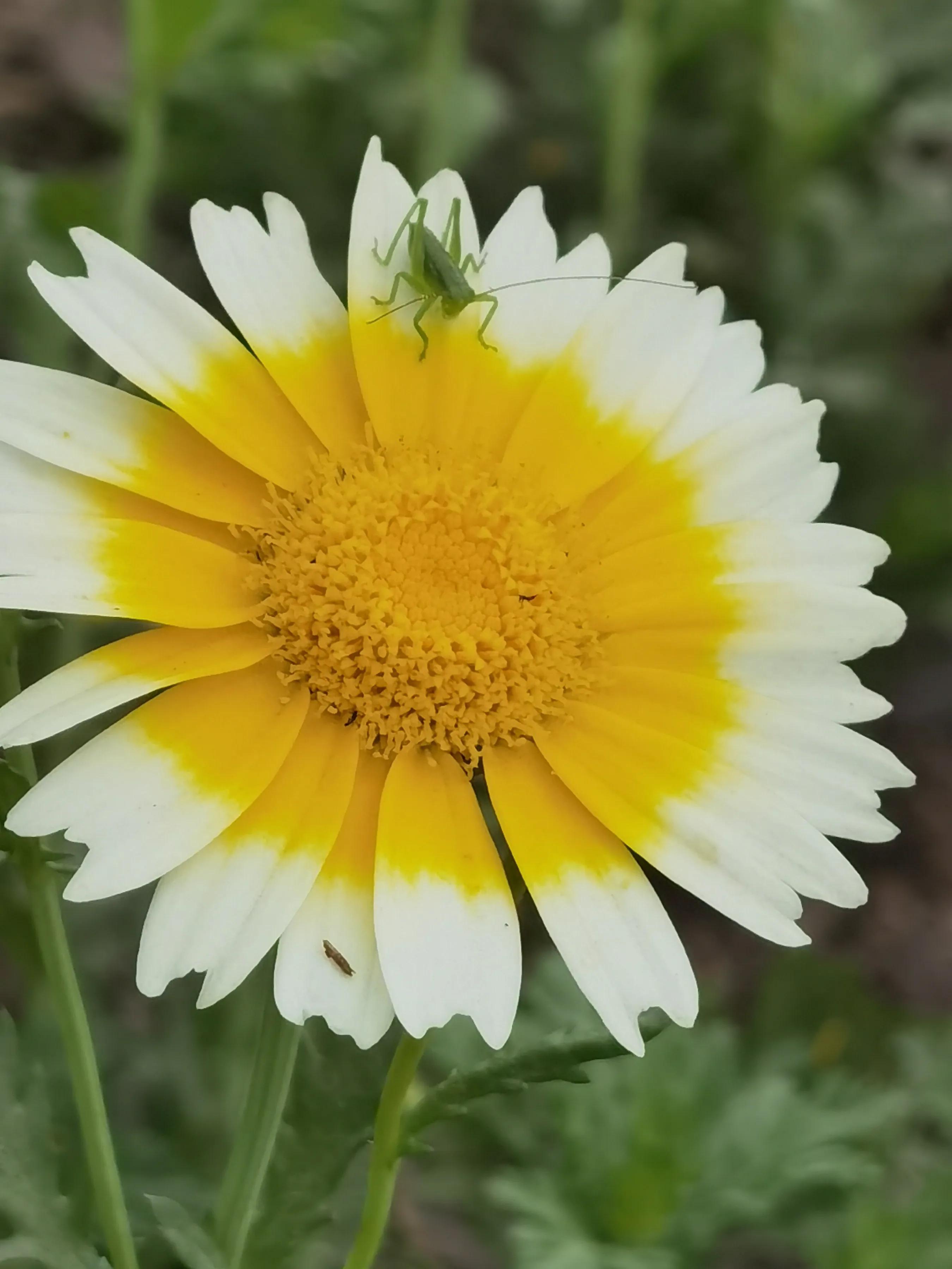 手拍世界近期作品,手拍世界完整版视频