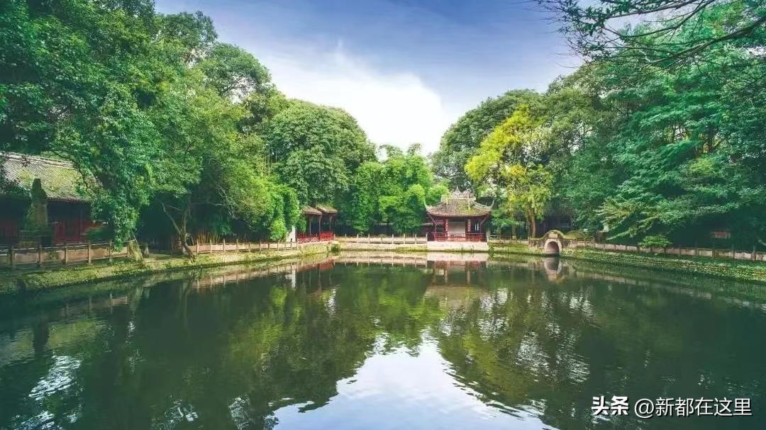 高质量发展新质生产力,高质量发展的高标准高起点