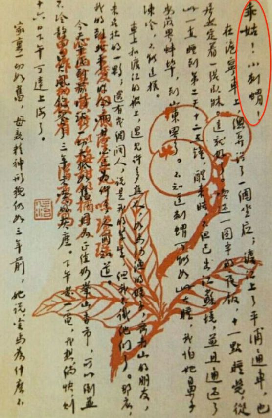 全网人设崩塌的八大网红,这些年人设崩塌的网红