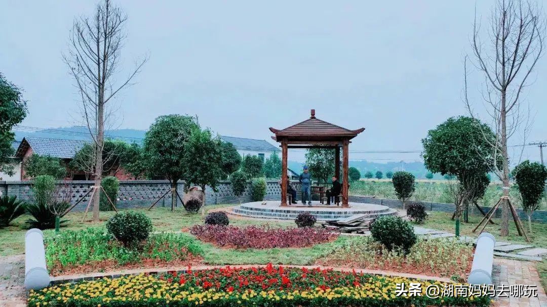 长沙近郊一日自驾游攻略,长沙大观园旅游攻略