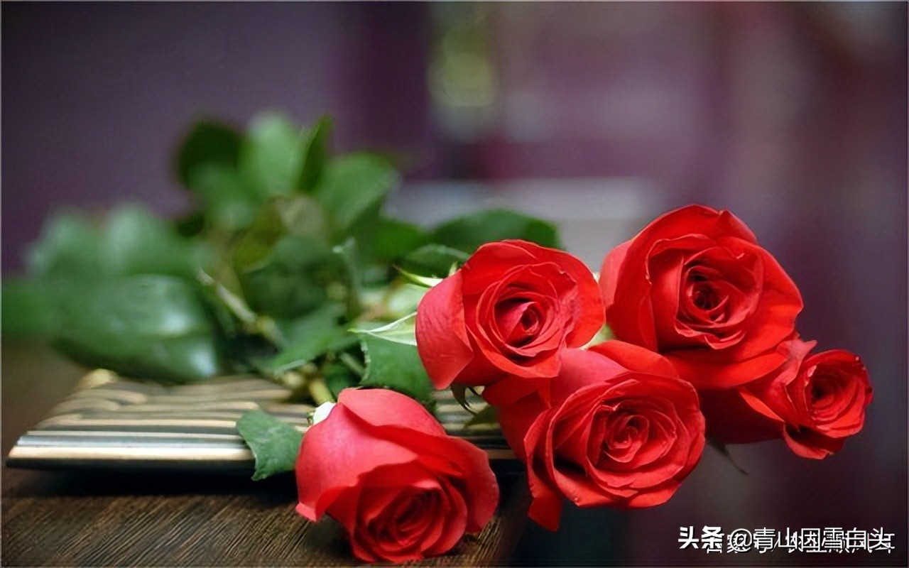 前景好的4个农村创业项目,十大适合目前农村创业的项目