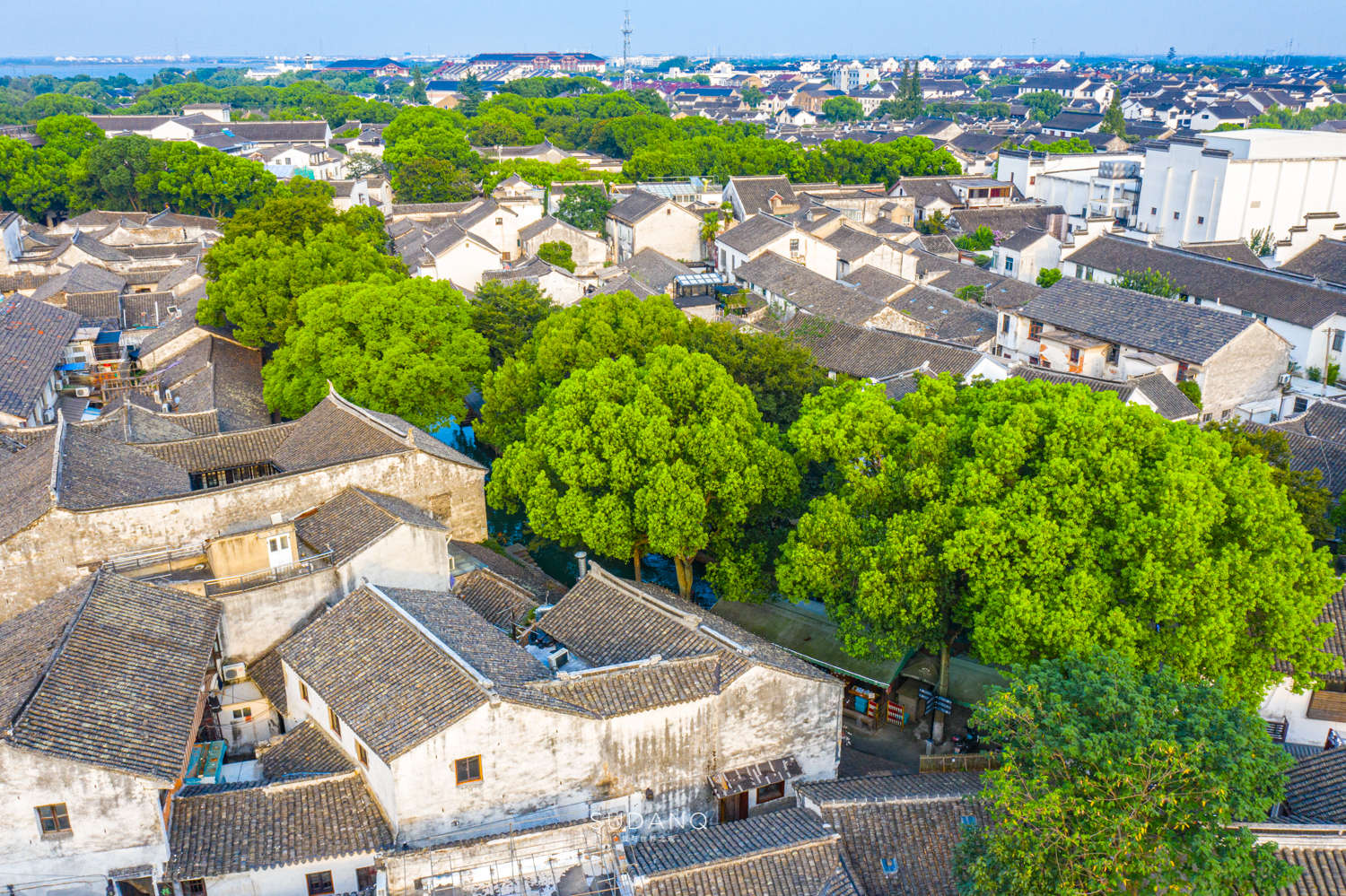 苏州吴江区六大名镇,苏州吴江最有发展区是哪里