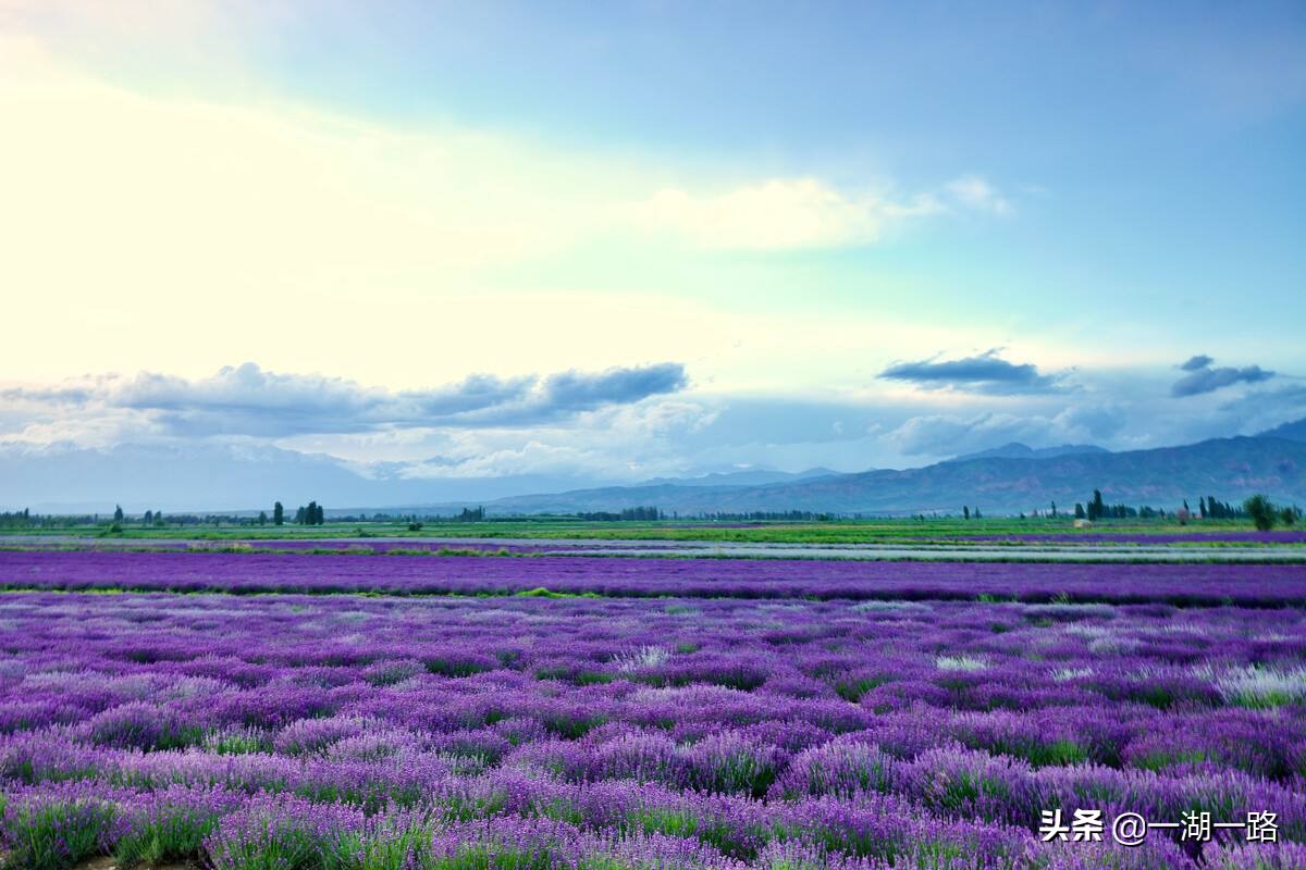 左宗棠收复全疆的史实,左宗棠如何收复全疆的