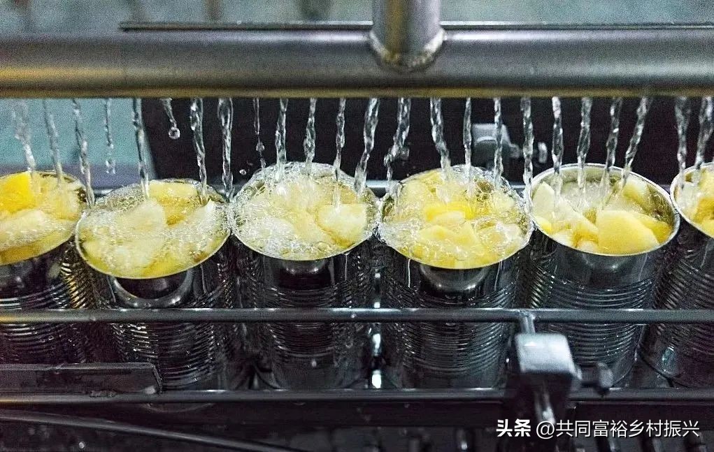 有机农业发展前景的趋势,未来农业最有前景的商机