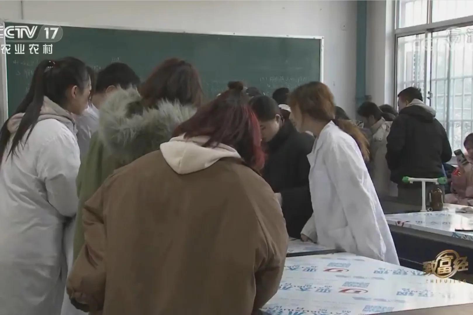 承包荒山致富的例子,美女承包52亩山地