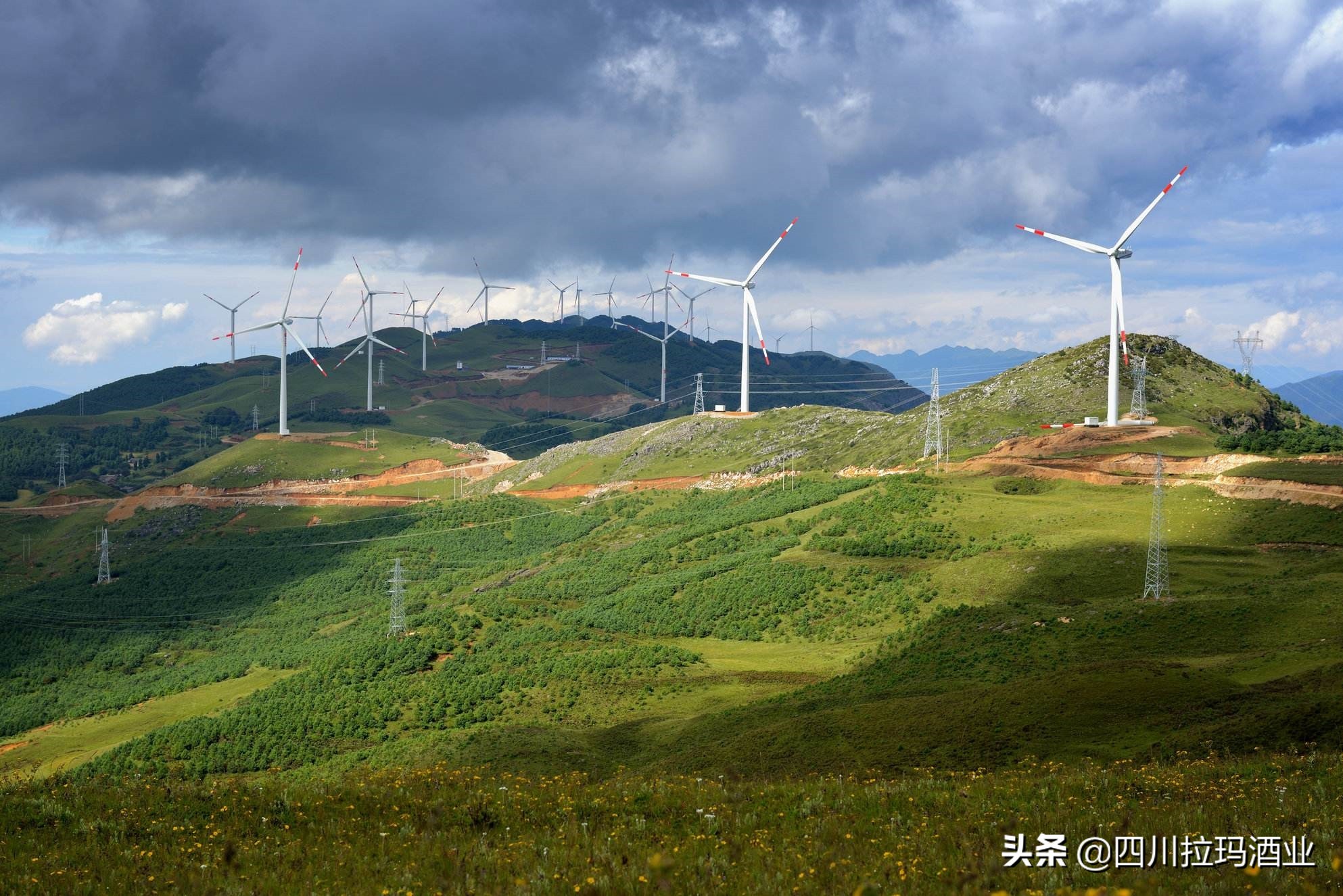 喝酒上瘾的人感觉白酒是什么味道,为什么要喝白酒的原因
