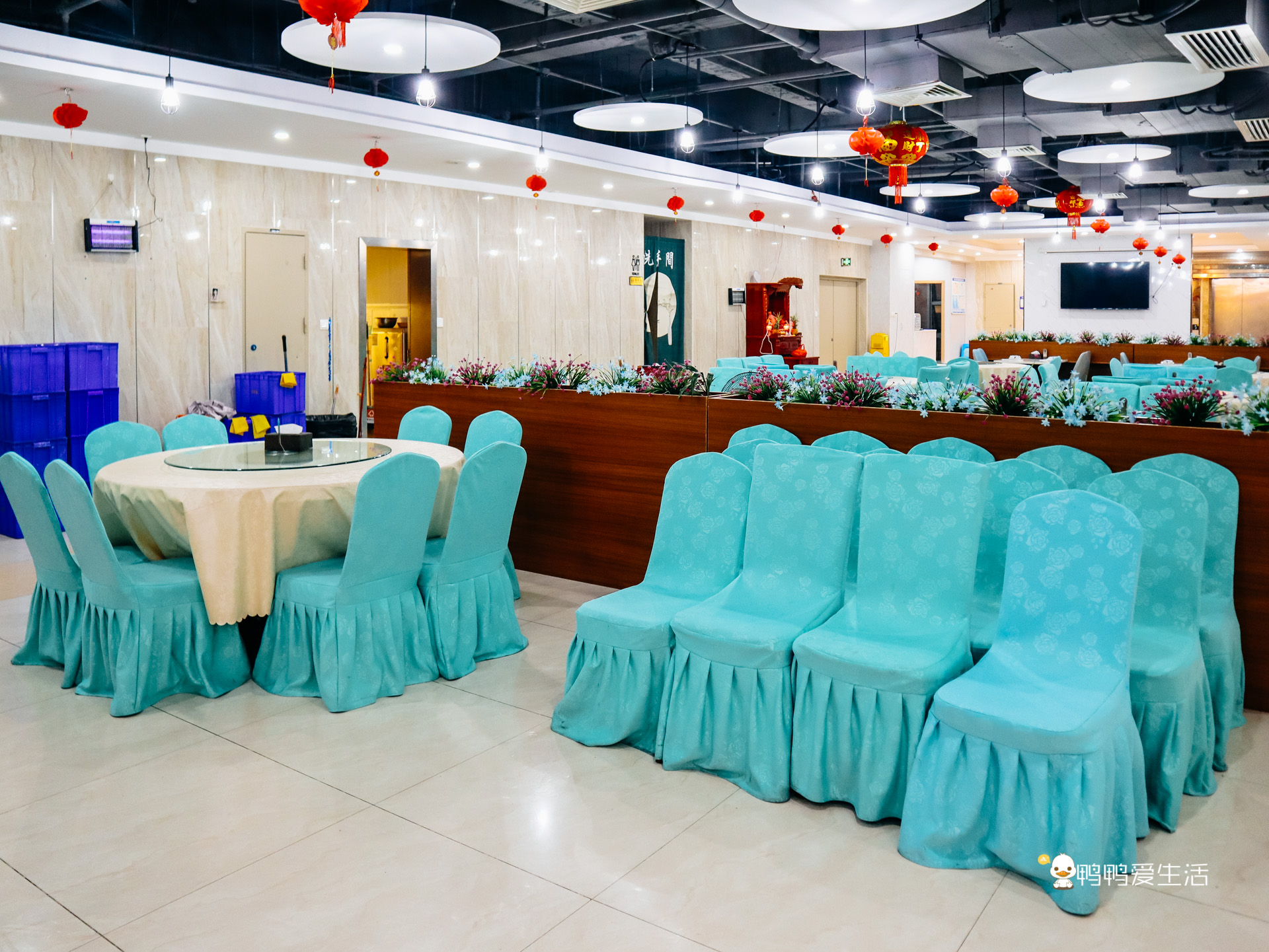 清蒸鸿运当头猪头肉,鸿运当头猪头肉鲁菜