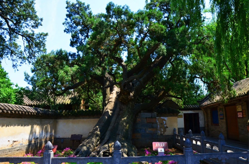 郑州登封嵩山少林寺,郑州离嵩山少林寺有多远
