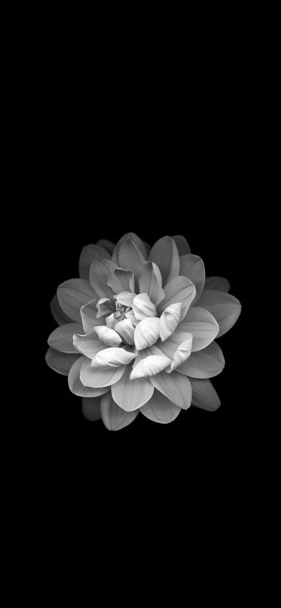 黑暗系的壁纸文字,黑暗色系的壁纸