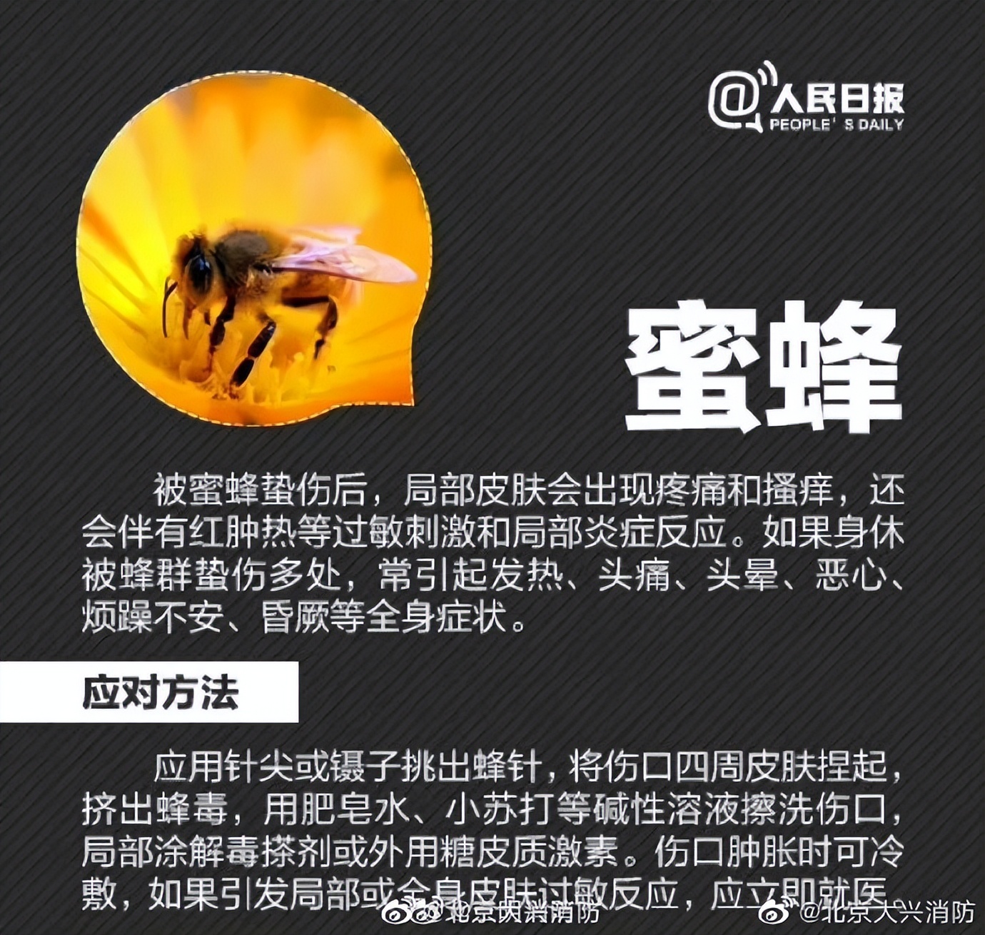 “我的脸被它毁容了…”毒液堪比硫酸！西安也有！