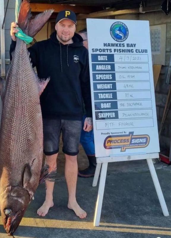 油鱼吃完后漏油的样子,油鱼有什么危害