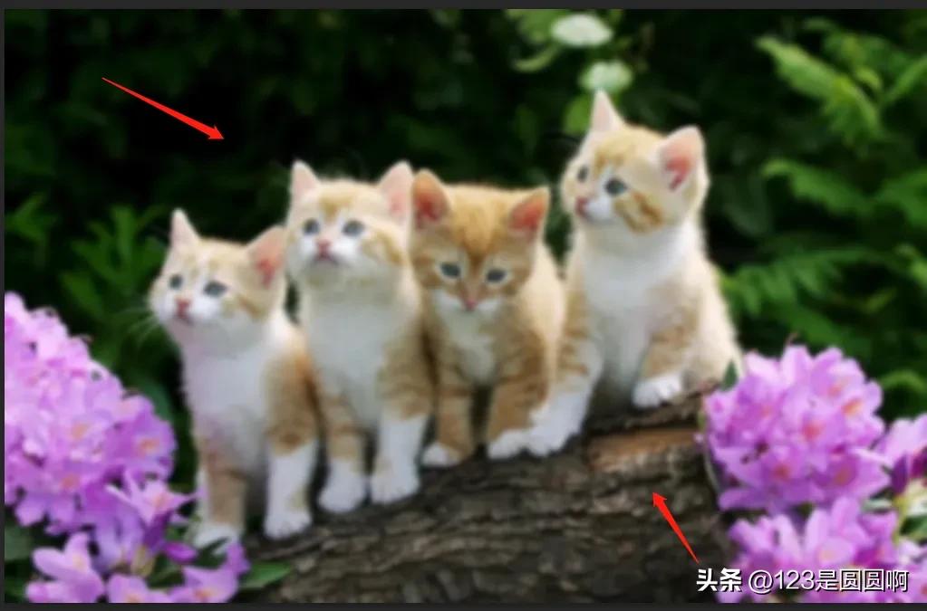 ps如何把模糊的文件变清晰,模糊图片文字变清晰教程ps