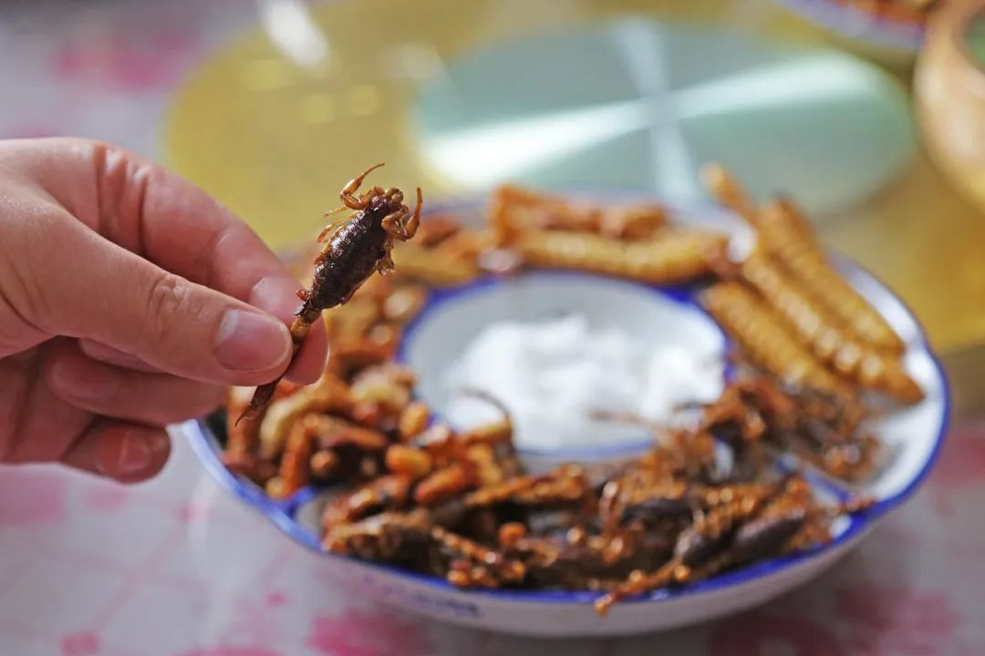 海边城市吃海鲜推荐,海边适合吃海鲜的小众城市