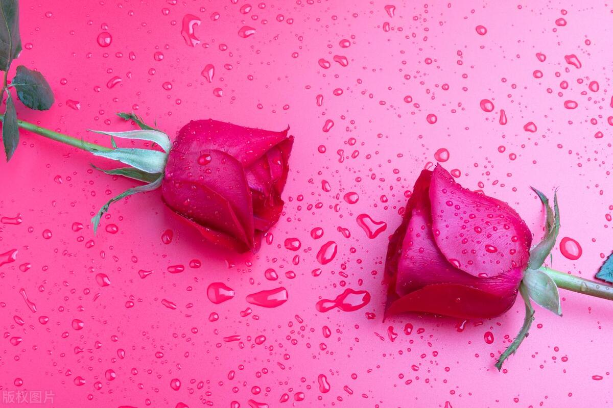 让回避型依恋感到焦虑,让回避型依恋重新信任