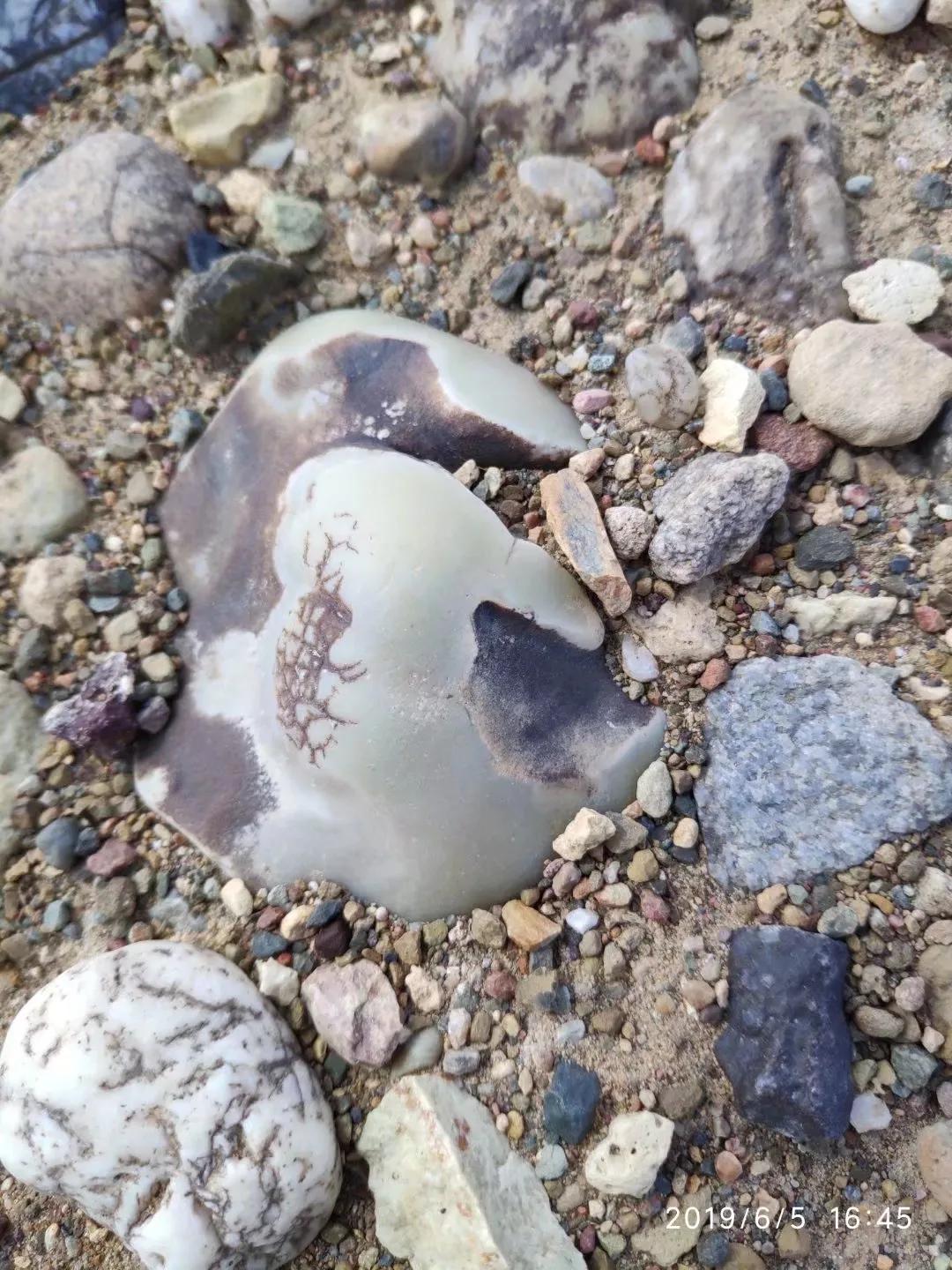 去戈壁捡石头,新疆戈壁捡石头