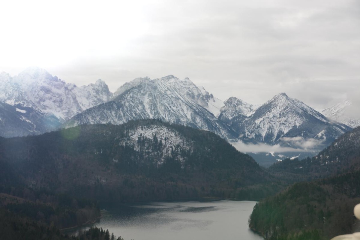 奥地利德国日耳曼,奥地利德国斯洛伐克