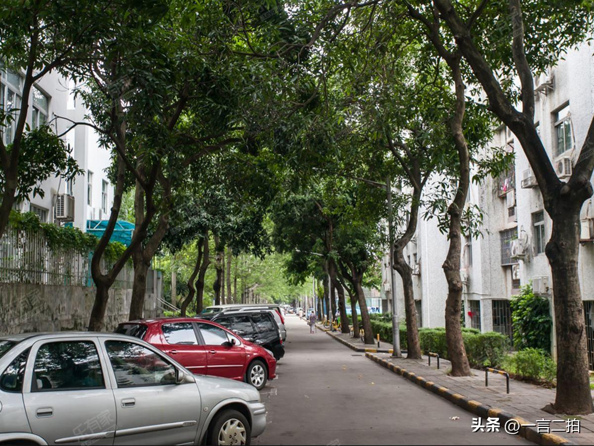 我，放弃深圳年薪20万医院工作机会，回老家四线城市开启躺平生活