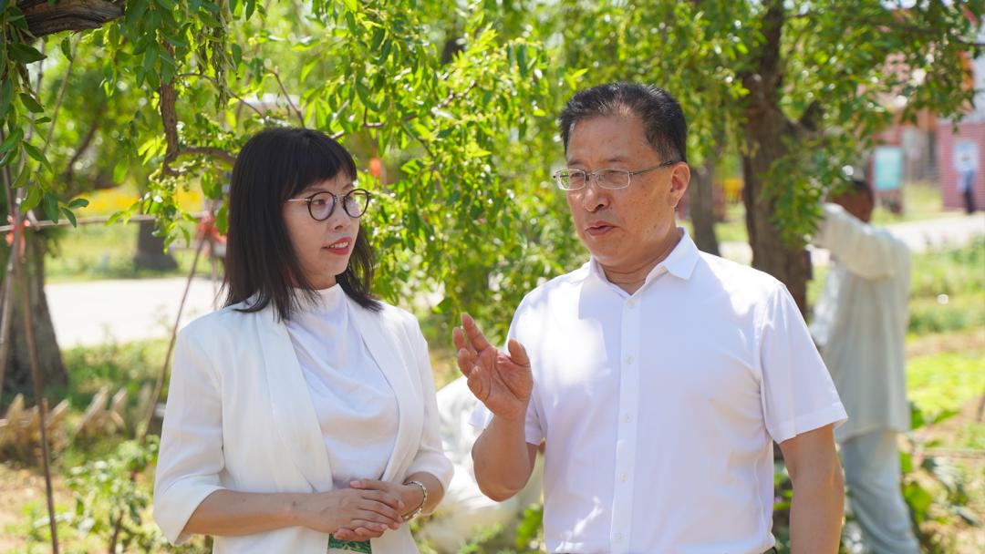 枣香枣情话芒种：中国红枣的“好想你”价值和情怀