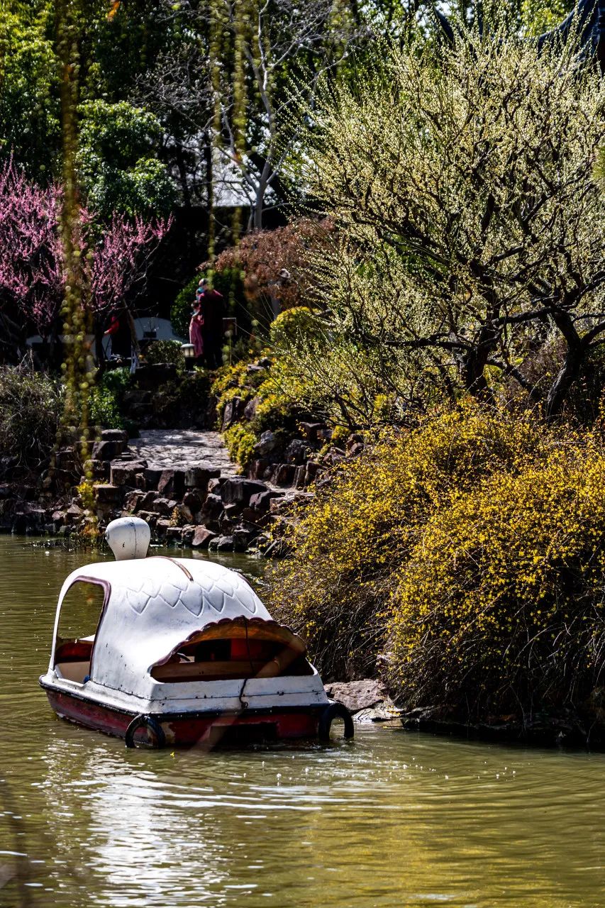 魔都春季游玩,魔都6月游玩地合集