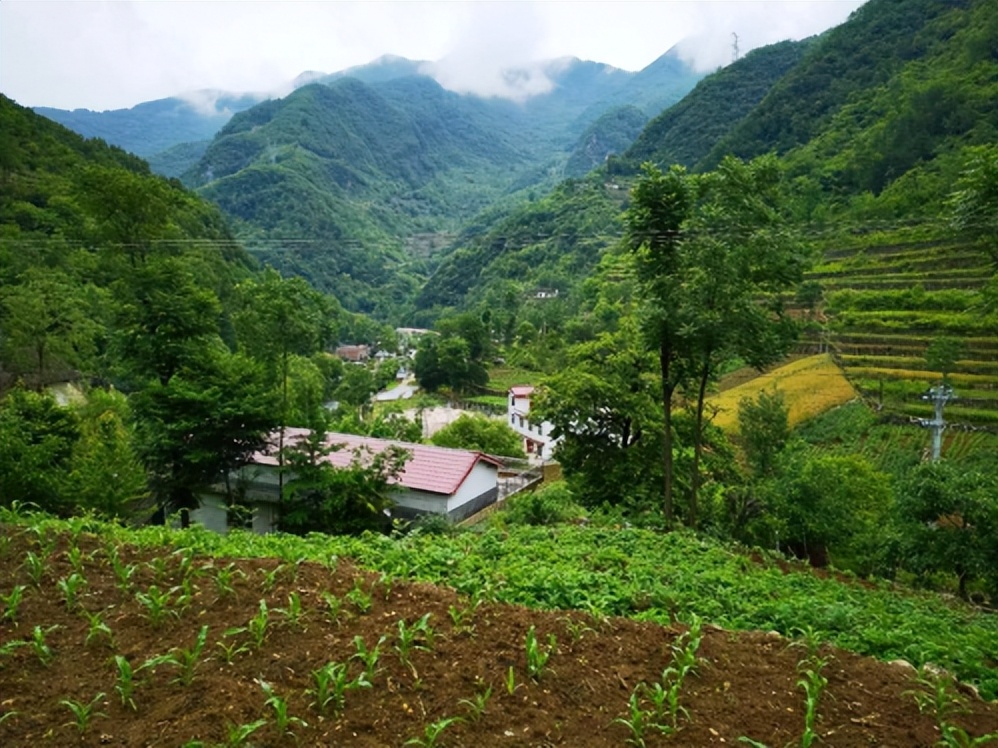 镇安茅坪美景绘画,陕西省镇安县茅坪回族镇峰景村