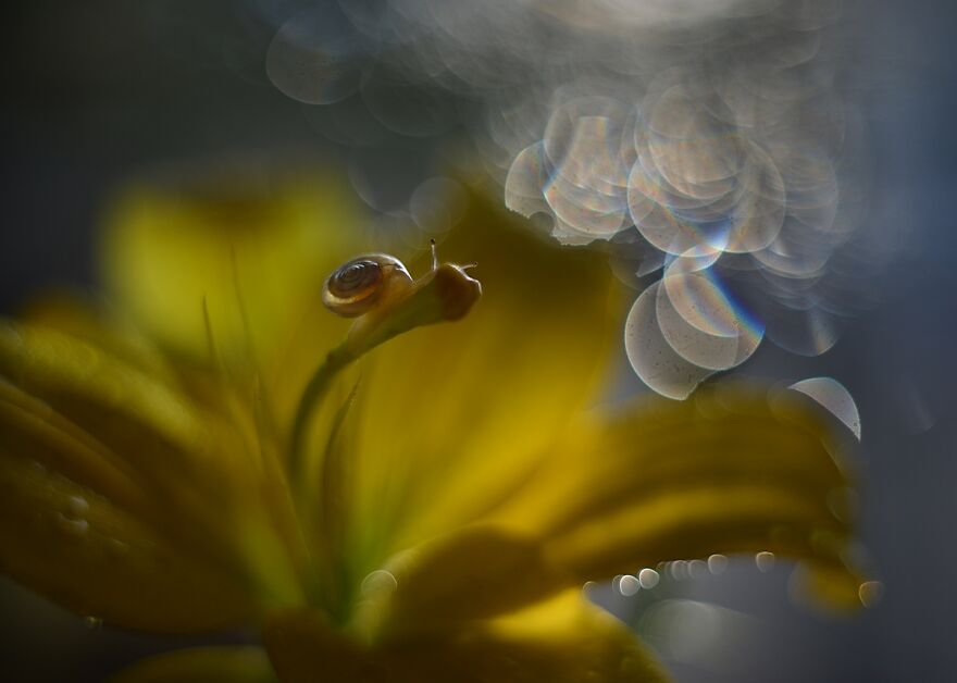 大自然的美景秋天摄影照片,美丽的大自然春夏秋冬图片大全