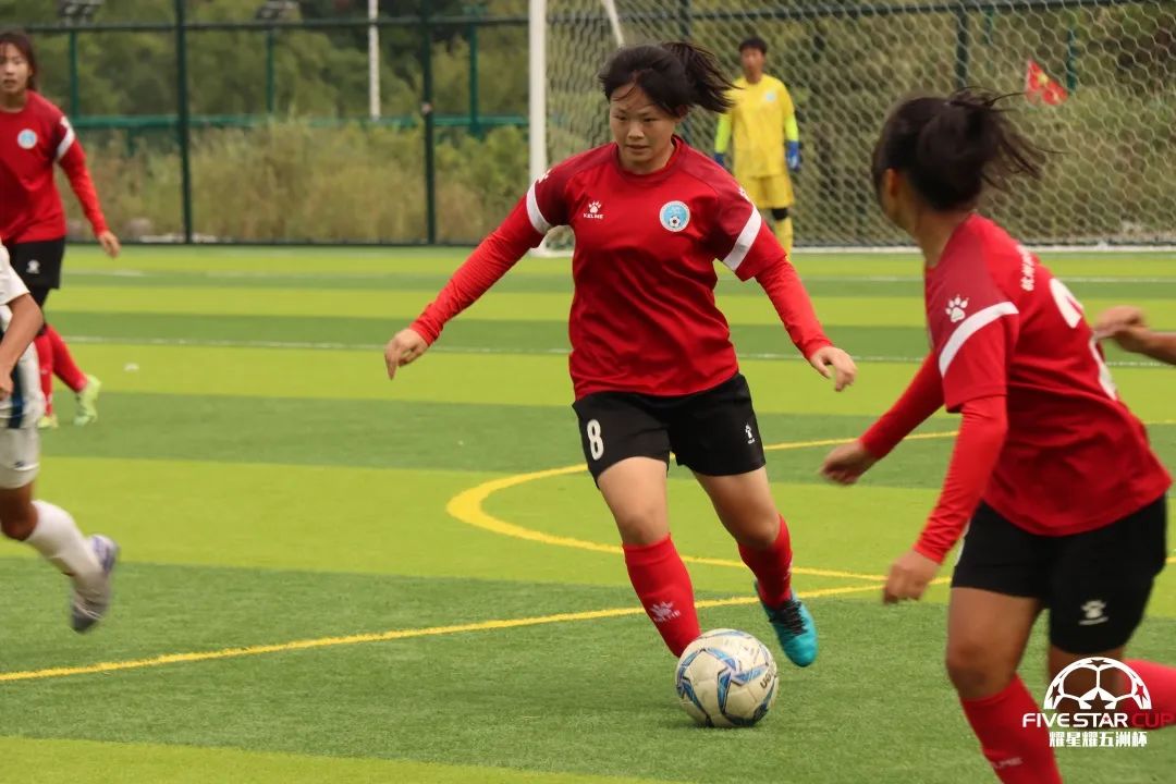 聚焦2023全国两会提案,聚焦2024年全国两会投票阶段