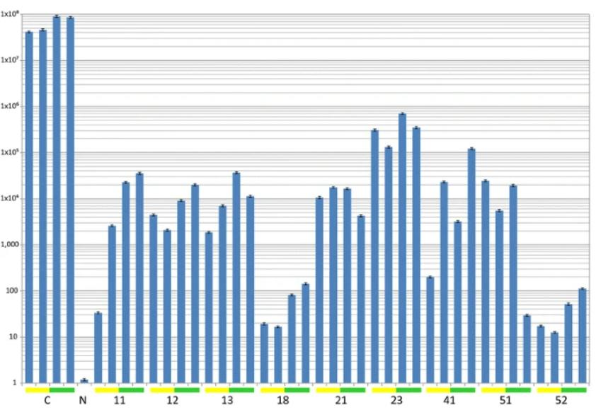 在核糖核酸的干扰下，病毒对转基因番茄植株有什么影响？