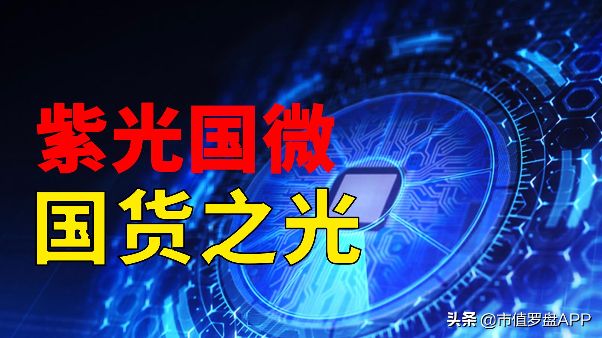 顶尖特种、安全芯片供应商，千亿龙头紫光国微财报有4点隐忧