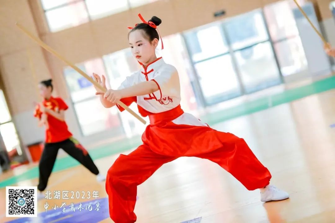 南燕小学,郴州市南燕小学成绩排名