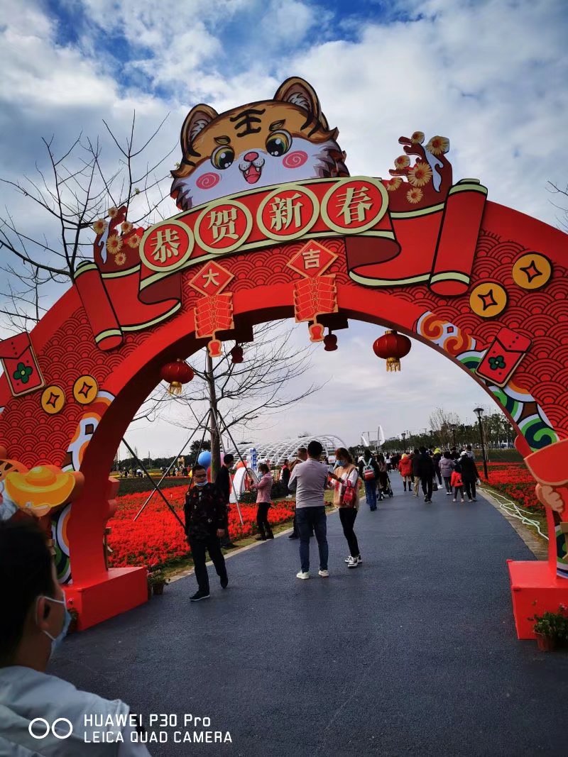 修辞通鉴里飞白在第几页,飞白修辞是什么意思