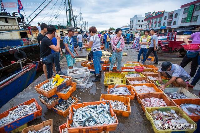 海南文昌环球码头海鲜,海南文昌渔村码头