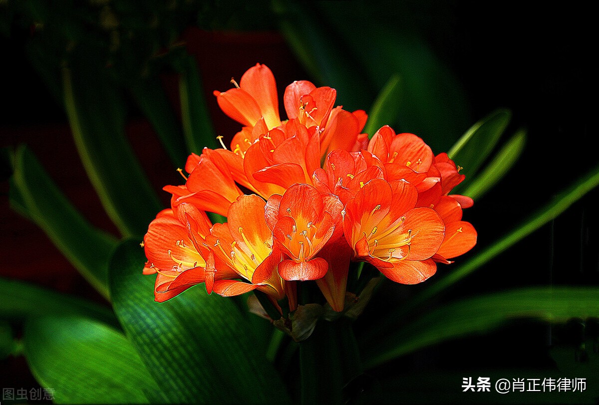 恋爱期间共同租房——分手后能否要求对方承担租金