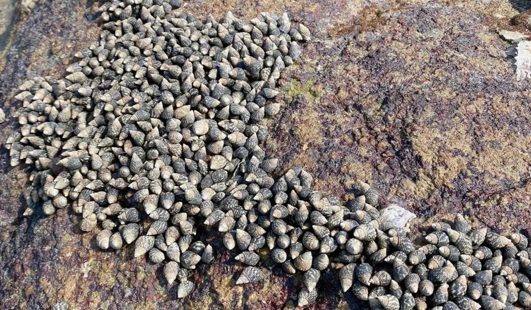 海岛控私藏的33个绝色海岛,盘点四个宝藏小众海岛