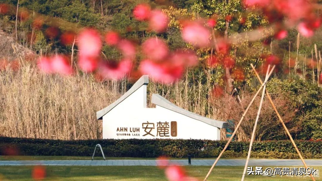 天下第一秀水旅游攻略,天下第一秀水在千岛湖