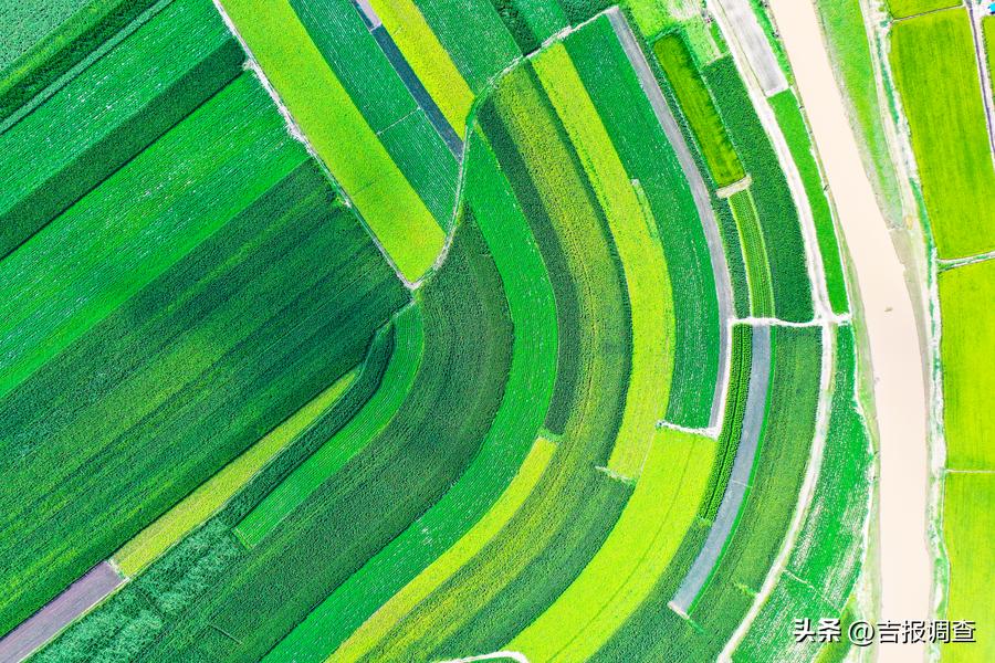 古城粮丰季，仓廪俱盈实！洮南市迈入全省前十产粮大县行列