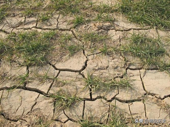 <html>
<head><title>502BadGateway</title></head>
<body>
<center><h1>502BadGateway</h1></center>
<hr><center>nginx</center>
</body>
</html>
<!--apaddingtodisableMSIEandChromefriendlyerrorpage-->
<!--apaddingtodisableMSIEandChromefriendlyerrorpage-->
<!--apaddingtodisableMSIEandChromefriendlyerrorpage-->
<!--apaddingtodisableMSIEandChromefriendlyerrorpage-->
<!--apaddingtodisableMSIEandChromefriendlyerrorpage-->
<!--apaddingtodisableMSIEandChromefriendlyerrorpage-->
