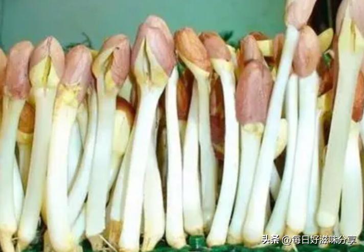 怎样处理发芽的土豆不会有毒,土豆发芽的应急处理方法是什么