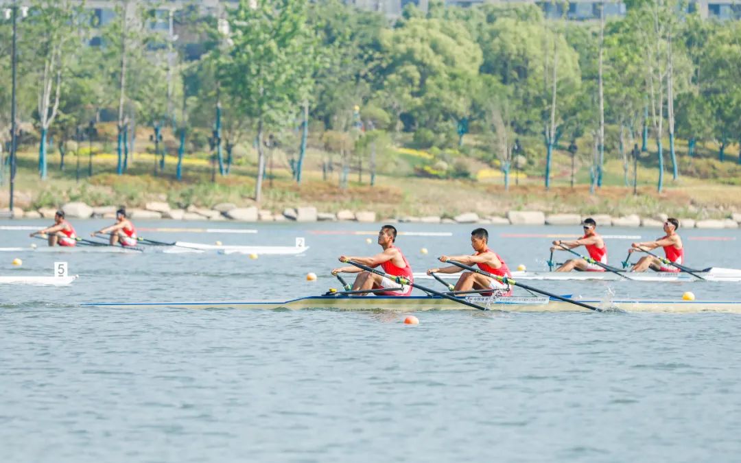 椹湳濂ヨ繍椤圭洰,椹湳涓撲笟鍦洪