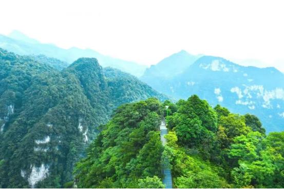 微度假盛行,微度假爆发视频