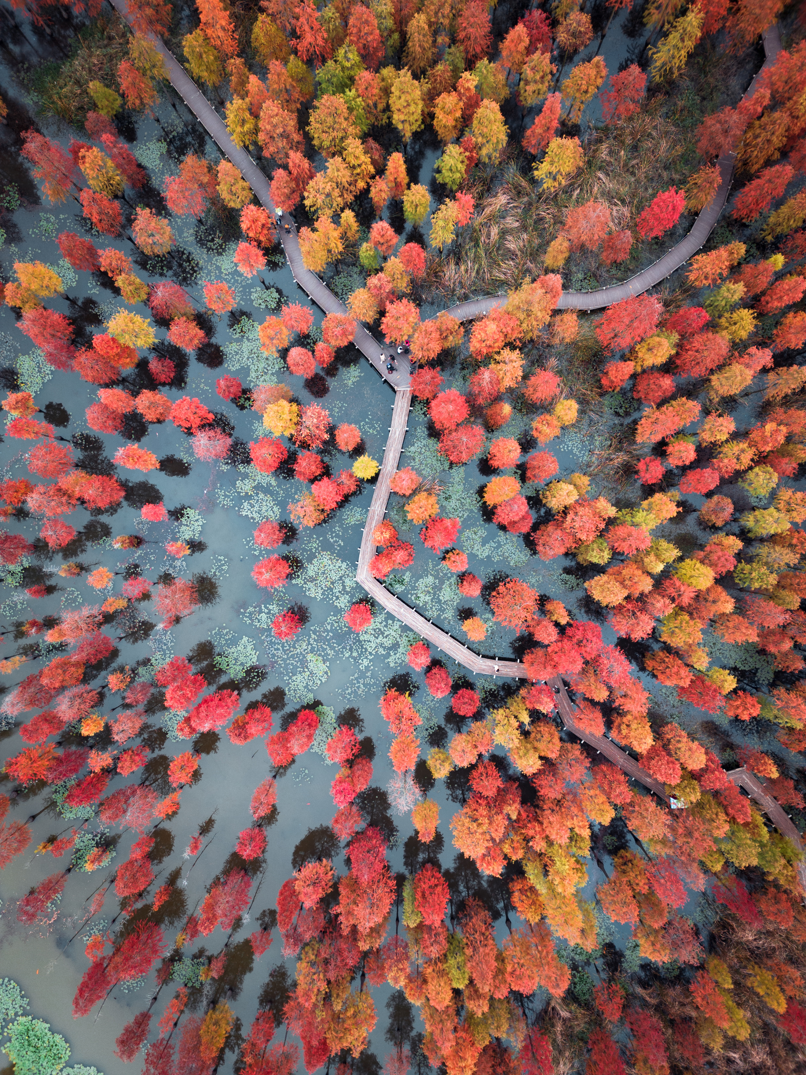 苏浙皖赣的旅游景点有多少,苏皖旅游景点推荐