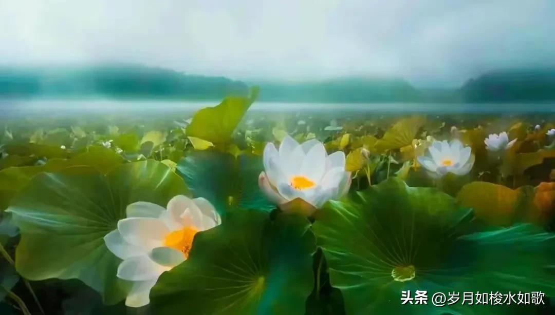 时间的小溪,时间的河流轻音乐