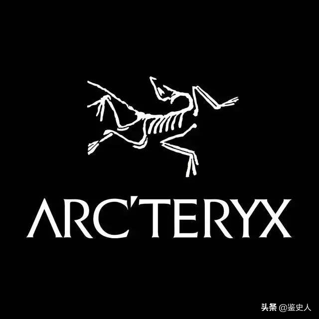 谷爱凌安踏最大赢家,安踏谷爱凌运动鞋