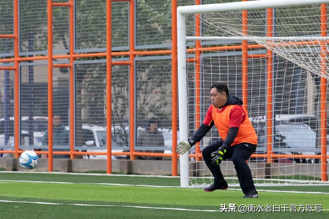 衡水老白干篮球赛,衡水老白干篮球杯