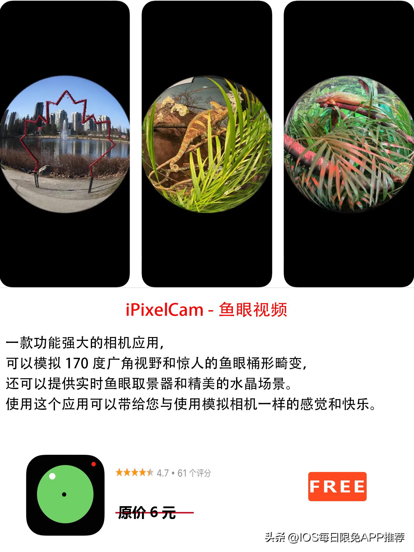 iosappstore免密码下载,iosappstore免密码