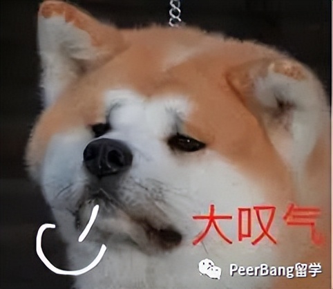 国外大学学费为什么这么贵,国外大学学费一年多少钱