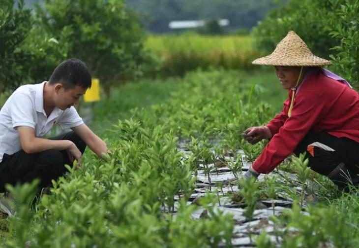 未来农村打工的前途是什么,回农村创业好还是在城市打工好