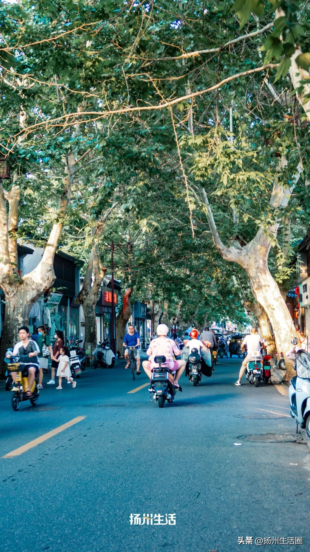 扬州夏天最热多少度,扬州苏州夏天哪个热